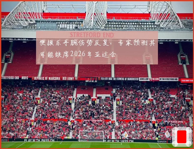 樊振东手腕伤势反复，专家预测其可能缺席2026年亚运会